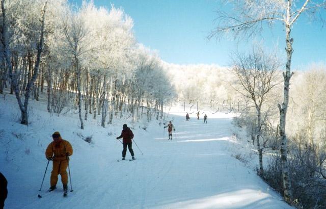 Saibei Skiing Field6